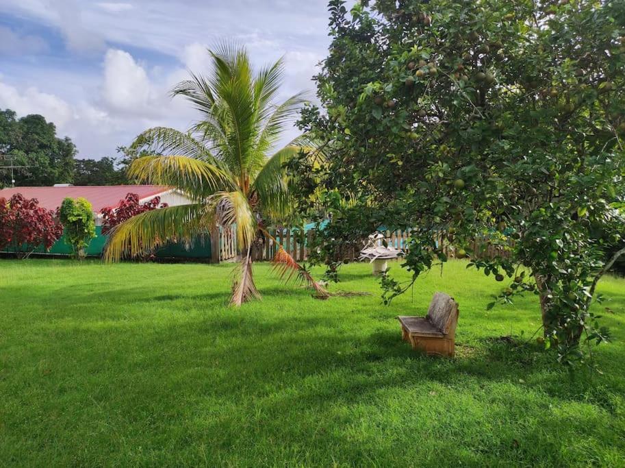 Villa Familiale Avec Piscine Le Marin Buitenkant foto